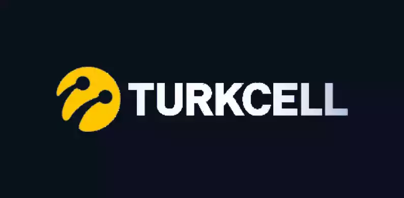 Logo tasarım, web tasarım, katalog tasarım referanslarımız Ankara Megafonn Creative6827